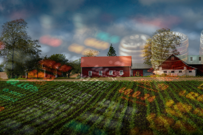 A Tale of Two Farm Economies: Strong Livestock Sector Vs. Weak Grain Markets