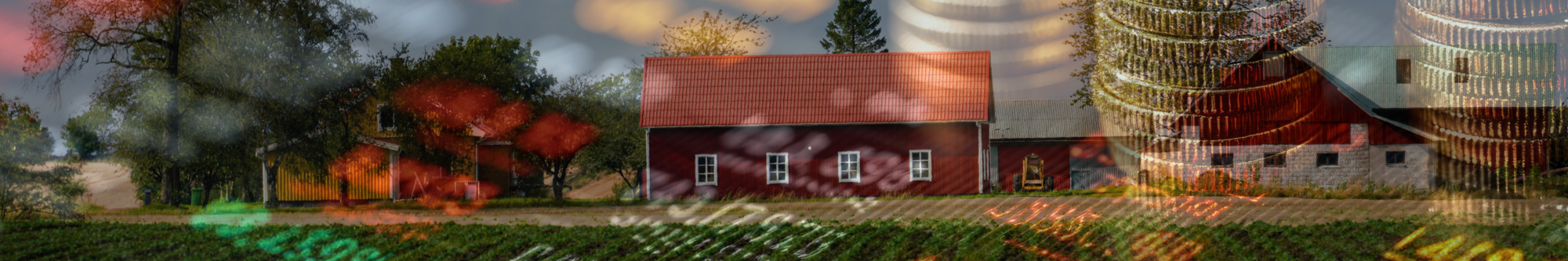 A Tale of Two Farm Economies: Strong Livestock Sector Vs. Weak Grain Markets